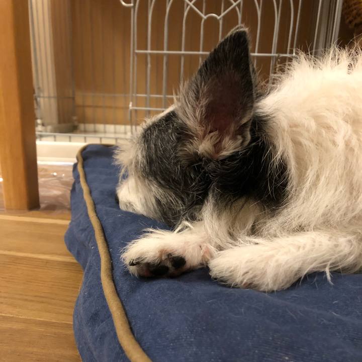 8c94ef2e e4bc 424f 9993 5a9cd23e020e 1557048180660