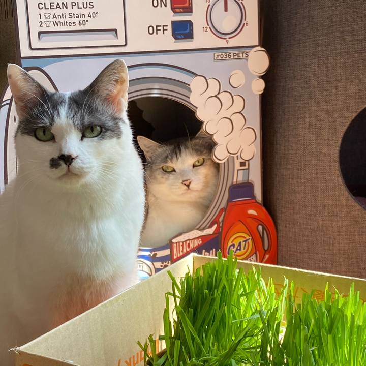 8c950245 fb84 4f55 9fb1 891d1b7f2197 1615855781327