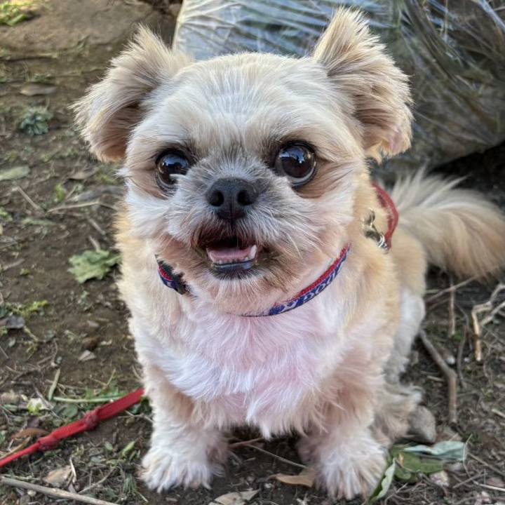 8c952189 891c 40f1 ab47 5770dd122533 1760424217751