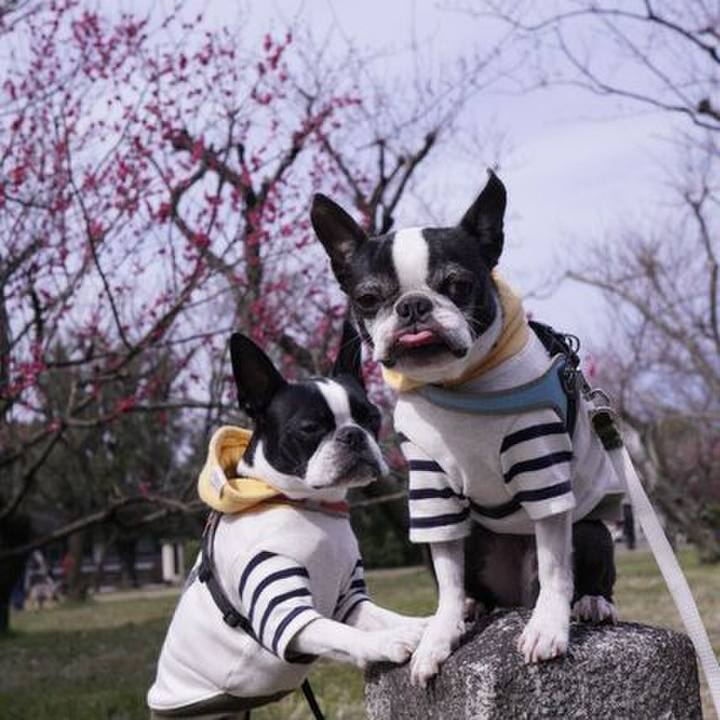 8c9551f5 c2b4 4ade ab46 6383255704d2 1551006393973