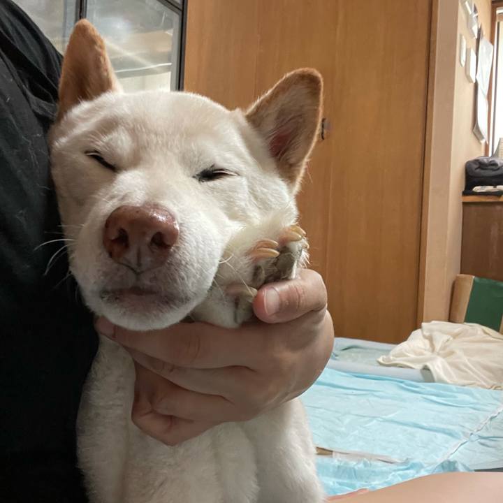 8c9559e3 03ab 4ead 95cb 86a91eed12a2 1634181839917