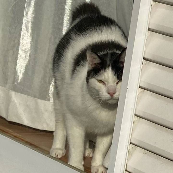 8c956d50 5e03 4cd2 90c3 70e9a0885b08 1586001862351