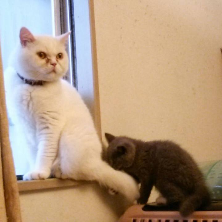 8c95a6cc 4e8f 453d 8ccd b6f89a093b16 1531341773158