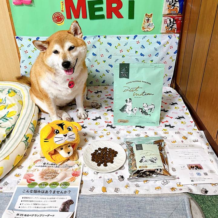 8c95b11b 716c 4098 a6c4 e0374ebc3576 1660198435623