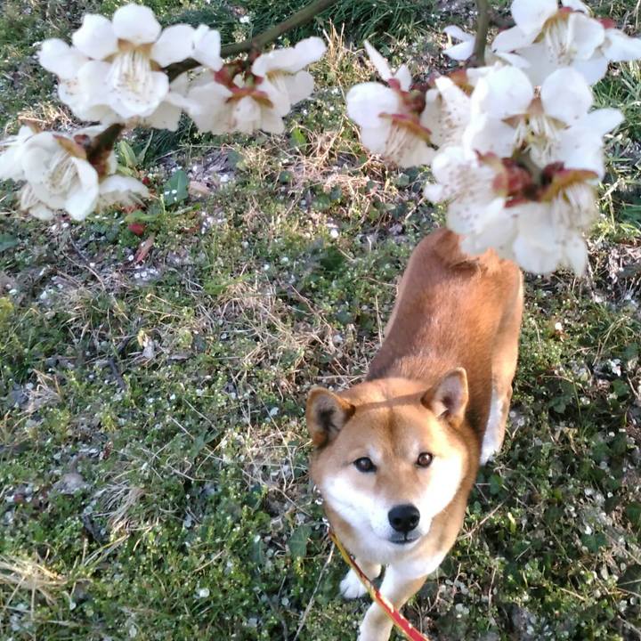 8c95b16a ead3 42ca 86ad 14fd88cb7c1f 1520756966808