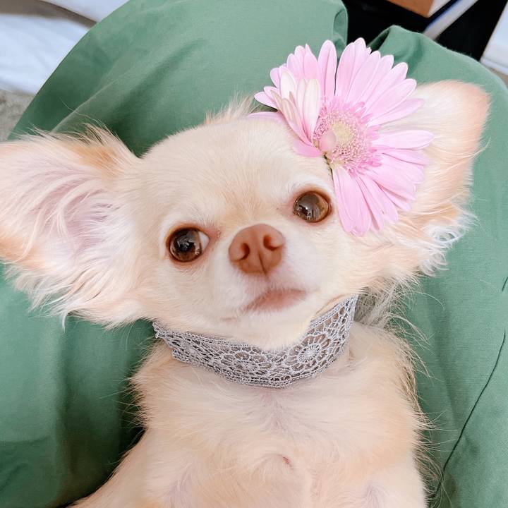 8c95d77d 2878 4591 9960 e5aef8143735 1657719863459