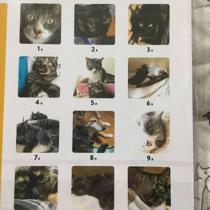 8c95e5cf 5fe9 40b5 8c5f 3e274a9ad8f5 1607761857085