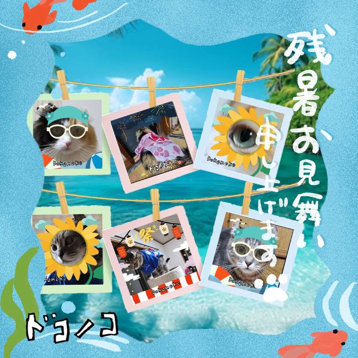 8c9653c1 2808 4d8b abe2 8ba21c1b409f 1723501044501