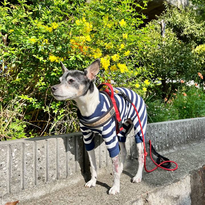 8c96f33e 68d2 4a31 aa23 3dbefa8bae2d 1650155833294