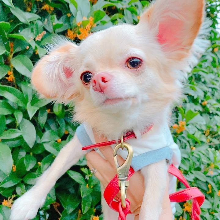 8c96fbf7 79b7 437c a5a3 d869ff414b54 1631694604763