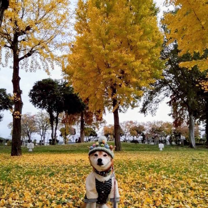 8c96ffc7 3501 4a09 b68e 92602352fa0f 1763894095909