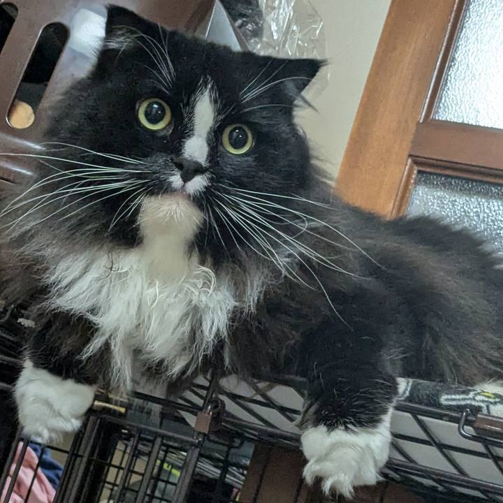 8c973445 4a5b 44e0 96b3 eeb2853ce090 1722807185687