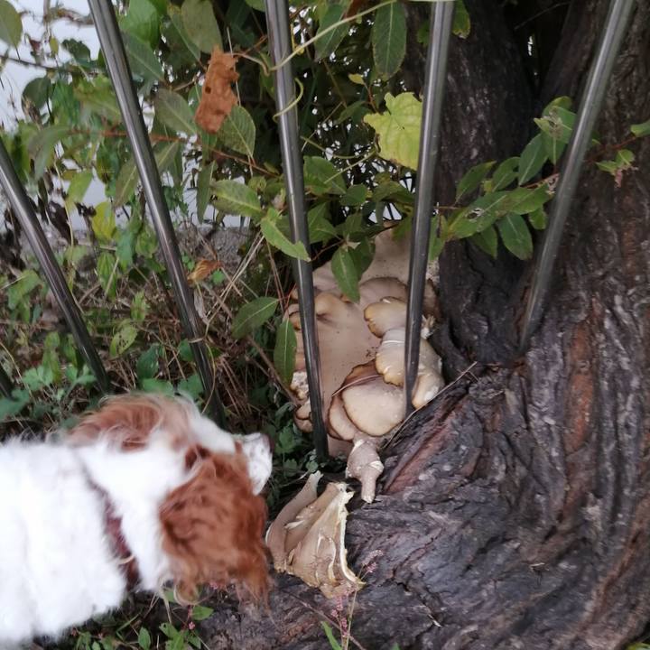 8c97942b 6885 4bfa 80a9 8bdf16ab73b2 1605238583615