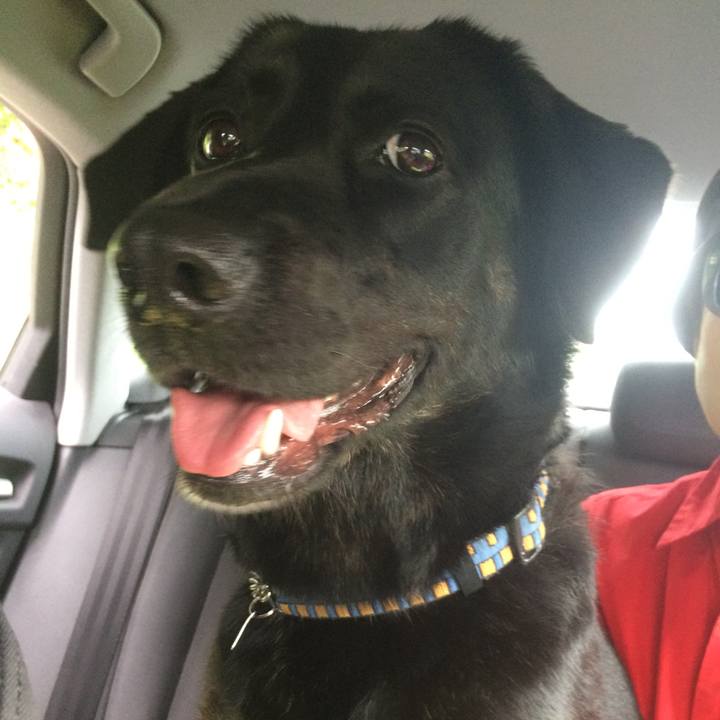 8c97d01d ac3a 4129 8f29 be6cf93c0b64 1537752085957