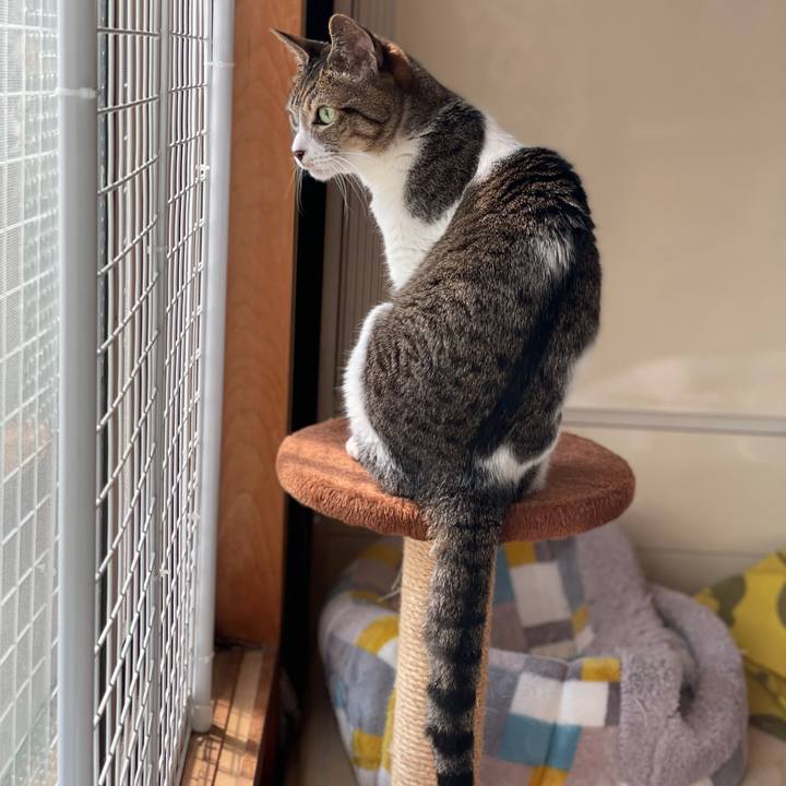 8c981757 c639 44a7 9381 849354b7ad04 1620786892040