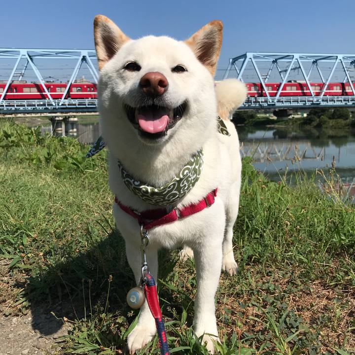 8c981f17 9660 45e6 b1ab 40f6fd557c6f 1533082283975