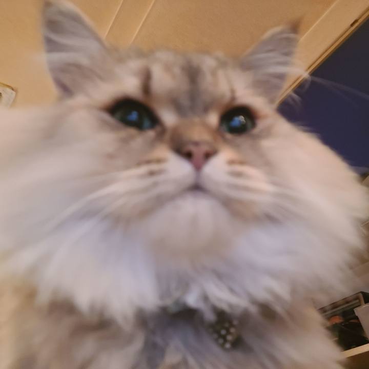 8c983dd8 e521 4651 a5b5 668fceff9296 1634246972478