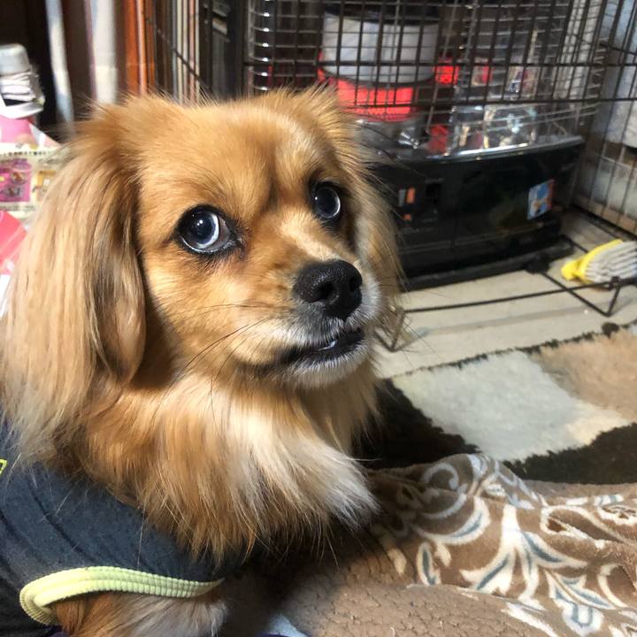 8c984cde fbfb 45fa 9b53 247354385981 1548023647866