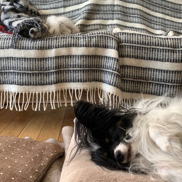 8c985fb3 28b8 469d bb97 ff696e6289d8 1606033111154