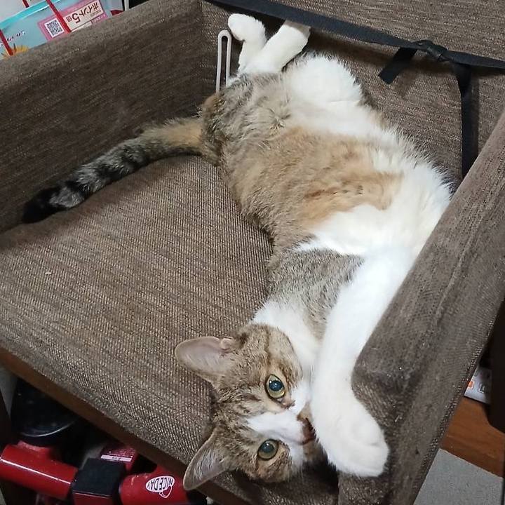 8c986ca9 d6e2 4cc7 b983 12583230fbab 1750058970489