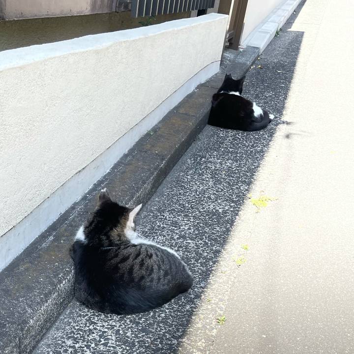 8c987264 7e33 4f68 944e cab269ba149c 1616565881287