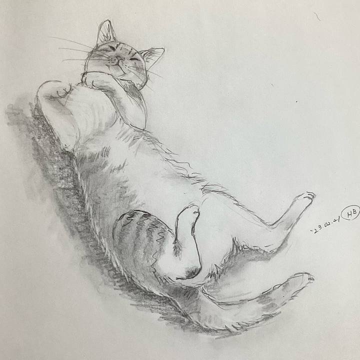 8c9896bb c0b1 447b 9ead f3c19687a7db 1676961716865