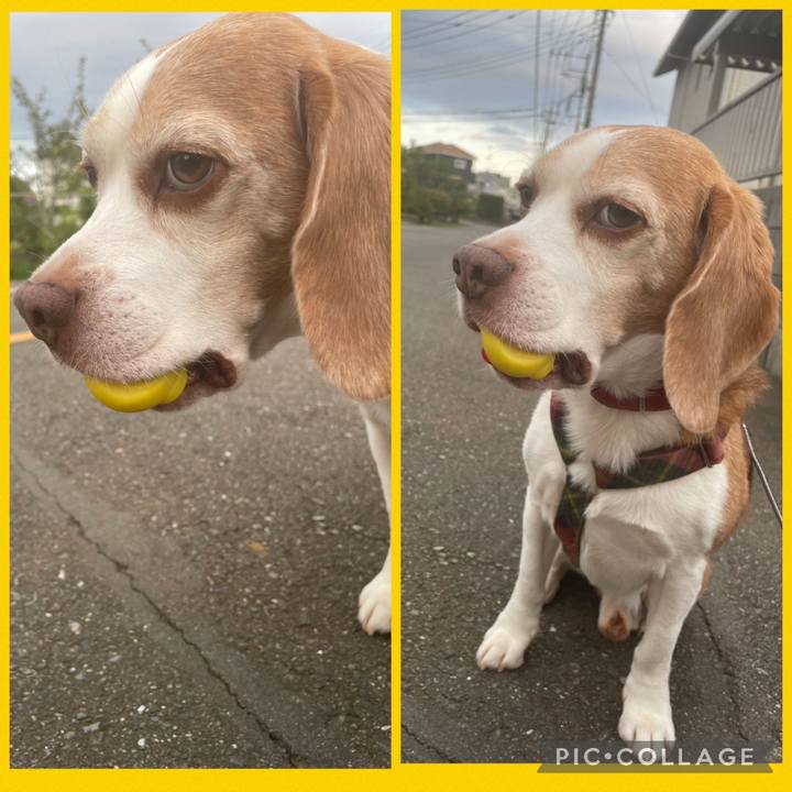 8c98b1a5 c5fe 4b83 beef 8e2e6dada45d 1756370251523