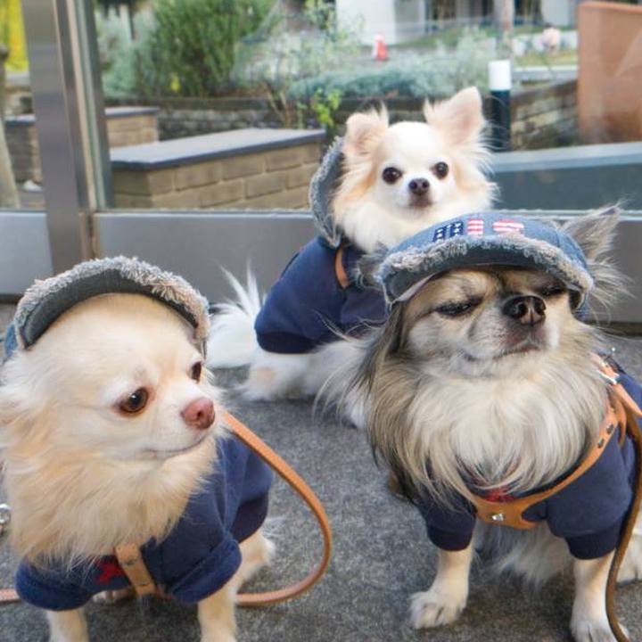 8c98d0bc a802 43ca 8c0e 453b9167d6a1 1670664183250