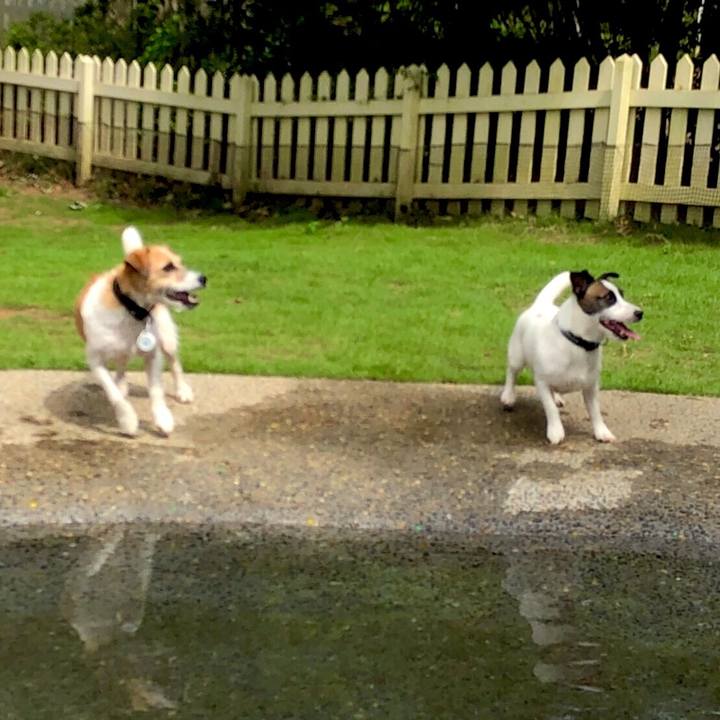 8c98e32e 6c03 49bd 898b dd81f2df8016 1565165973070