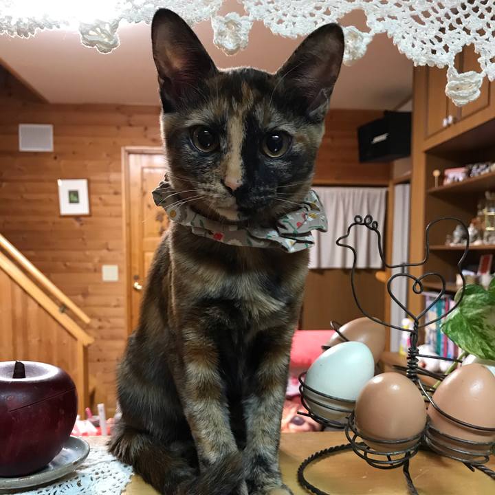 8c98e6d8 c2c2 47ab 87bb f7e7524e08fe 1607781819707