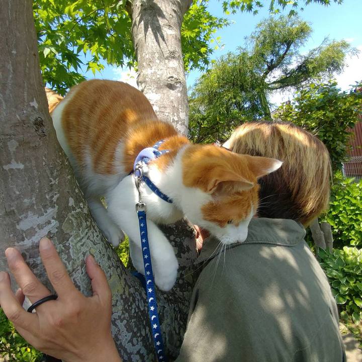 8c98ebd3 fbc9 49f1 ba2c ea9851247d4b 1527396593302