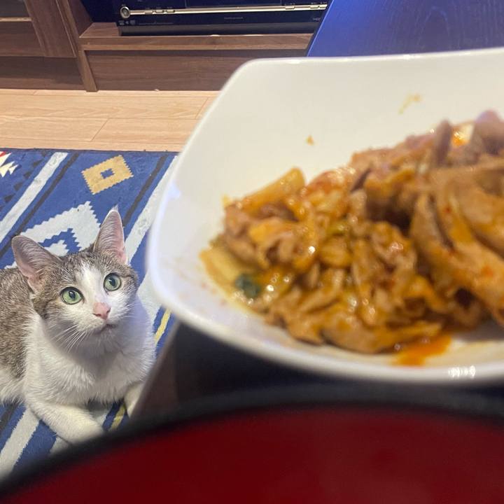 8c9905f1 6775 4528 84b4 6312eb042a1b 1626952689299