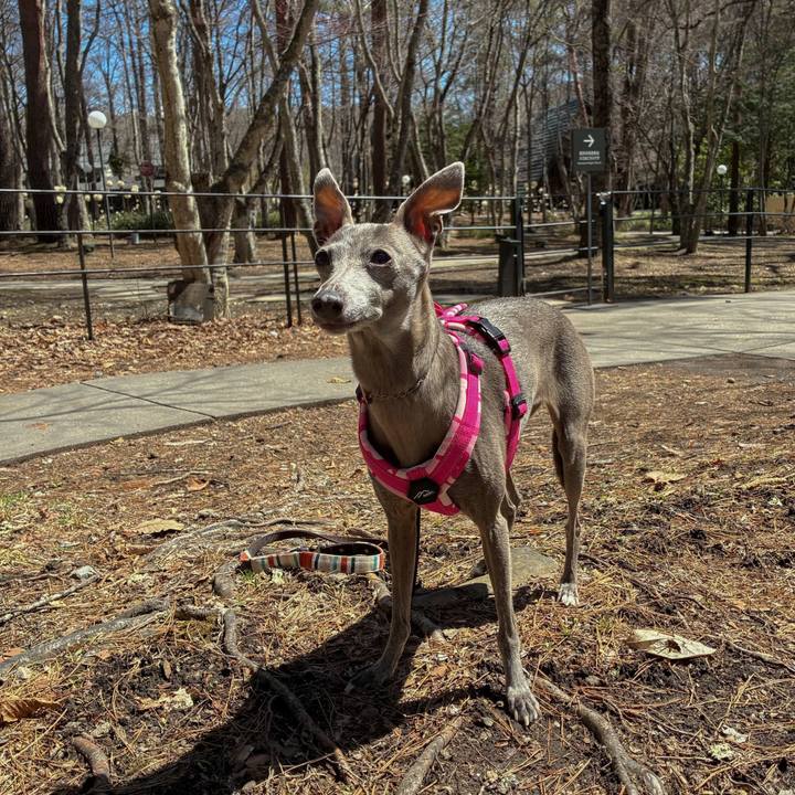 8c99262b 1d80 4024 a84d d6defbca8075 1776853982478