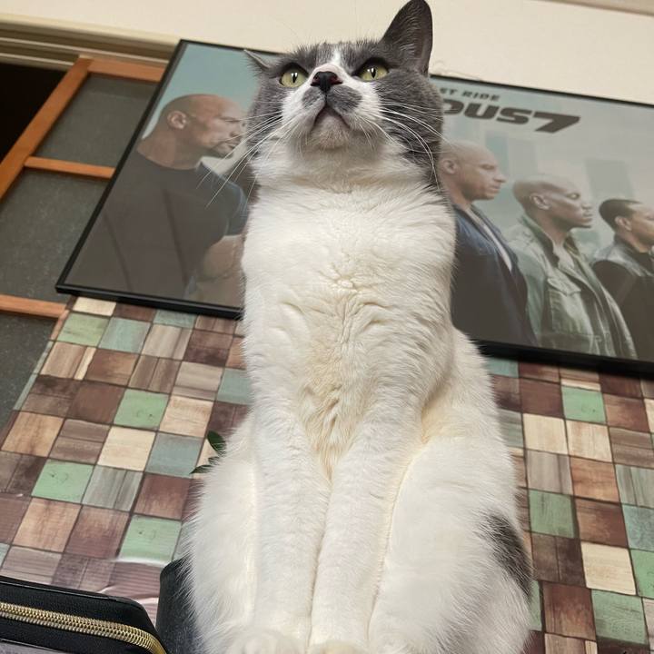 8c9933cd 02f6 4f7d 88fb 2c91702a6152 1705214110377