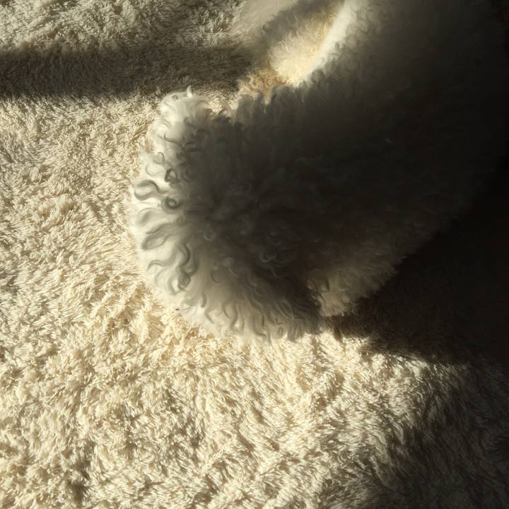 8c99a5ee 17ae 4f72 8941 99afd88a7a34 1540163734522