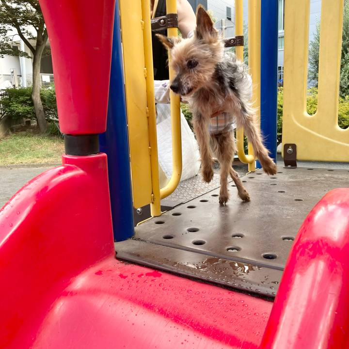 8c99aa54 4185 4f61 a376 6c83fcaf4550 1691712099681