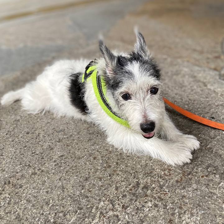 8c99bd97 6293 4605 856d 07b7d49a835a 1599399900071