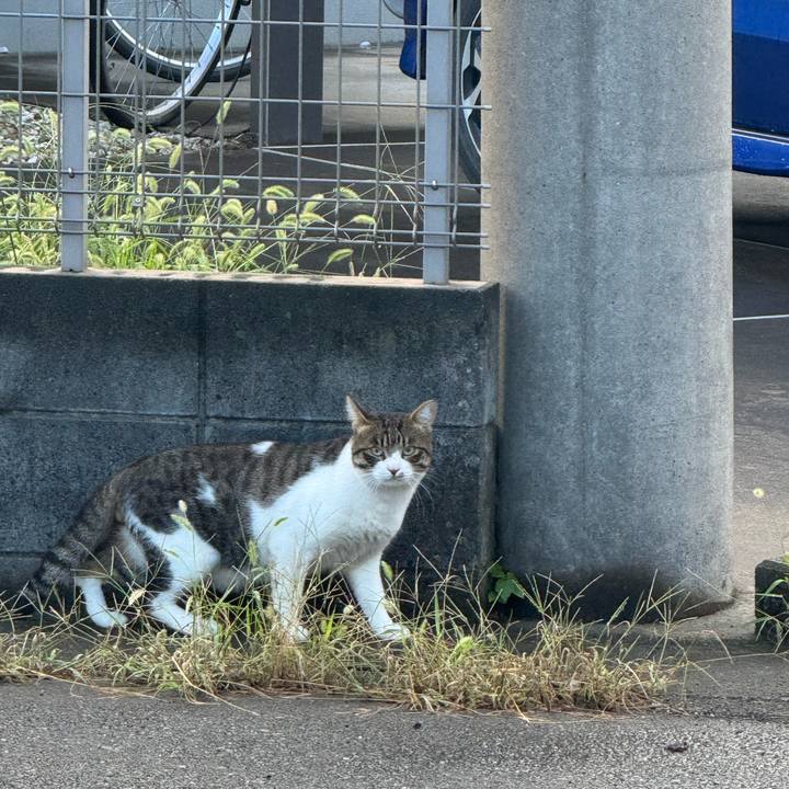 8c99c655 6dd4 4960 a518 1f1229e58101 1758416087994