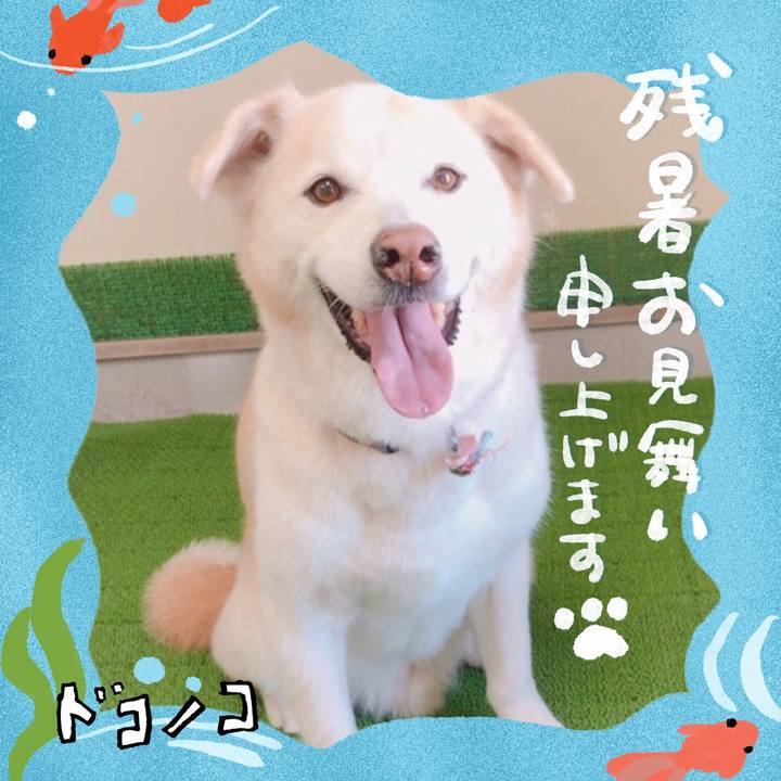 8c99d0cd 624f 4f0f 9834 82ff46e4ac8c 1723181777745