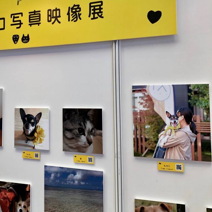 8c99f054 4ee3 475d 802b 4956b1f2b350 1558777066190