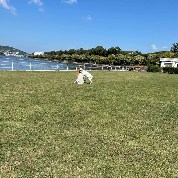 8c99fe23 2900 4d1e b318 7f082bca5714 1633754193592