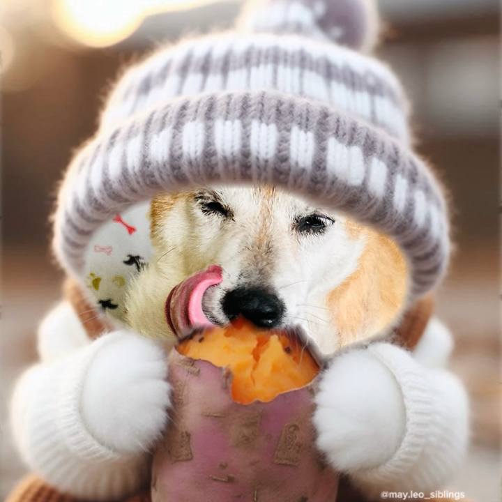 8c9a8d72 9e7a 40bc 8fd2 011f86769977 1768447411211