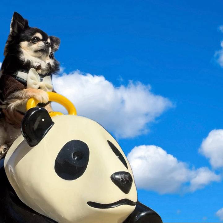 8c9abd8d 5da1 4c6e 9be9 93a8b9953959 1706609848808