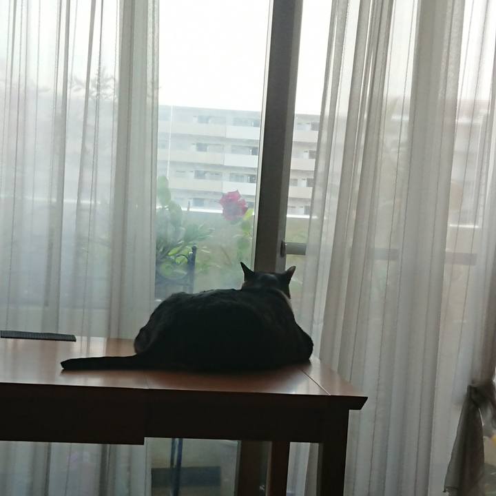 8c9adf34 5ec3 464c 9f1b 9b913c668b56 1527027035803