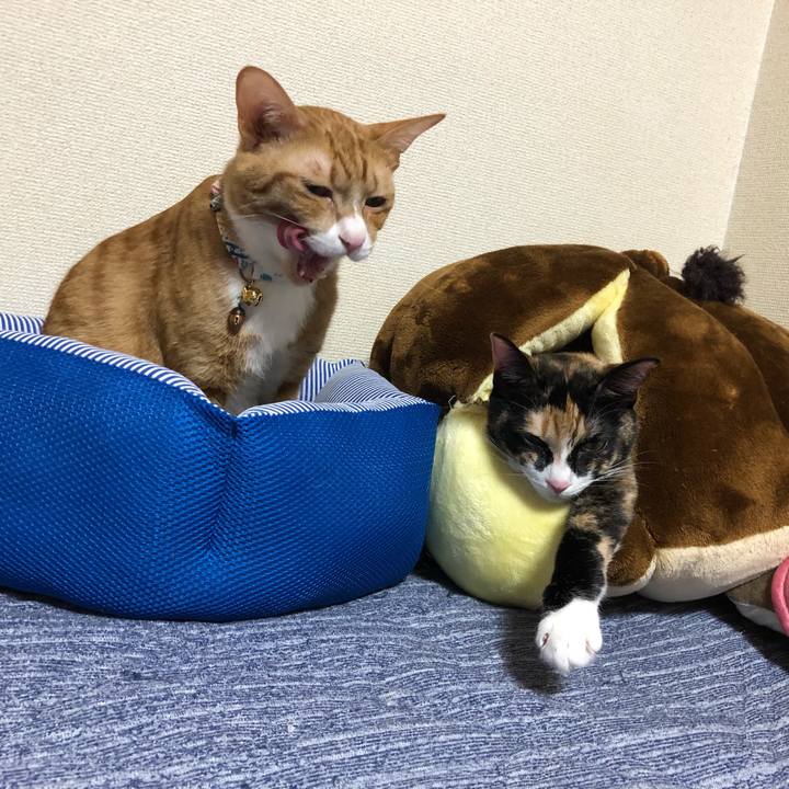 8c9b0d1c d0f0 4da2 b495 049e1a88885a 1569130133618