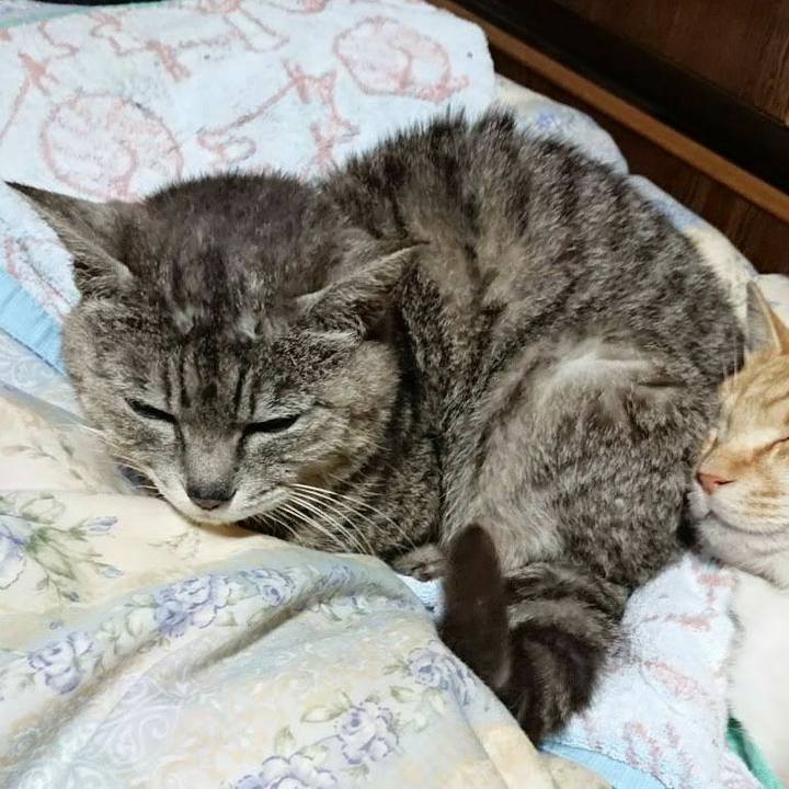 8c9b0fcd 8849 4fbe b1a3 390dbf482ec8 1590411812472