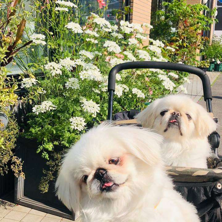 8c9ba266 fc1c 4fdd 802c f1f16dc8b8a7 1619007681260