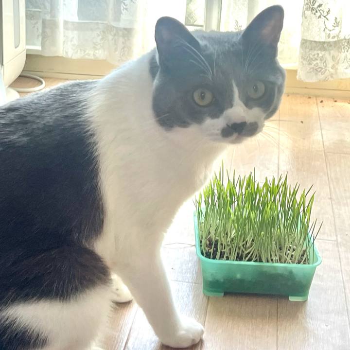 8c9bbf0c 05b2 4fd8 b950 4bb89e1e57a9 1630197842061