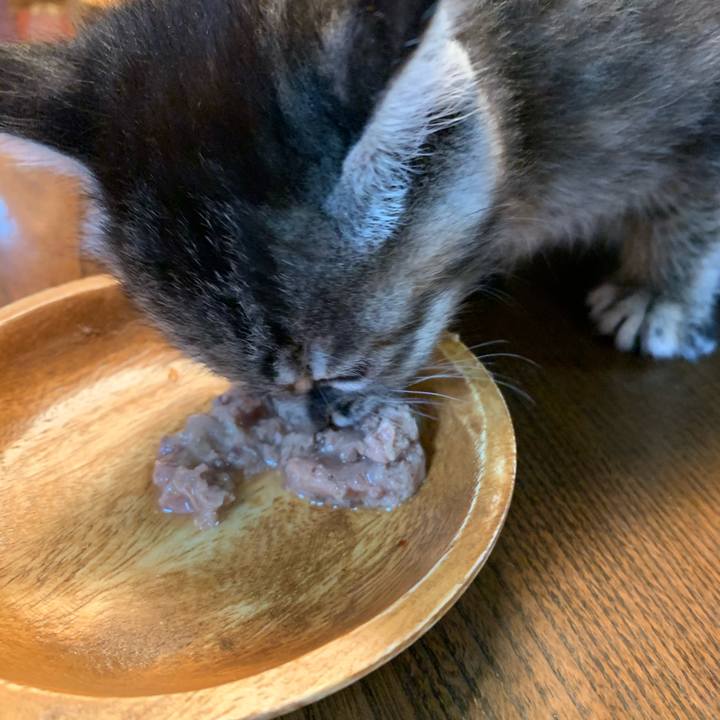 8c9beb2f b2c2 4f25 97bb 71ad2313d577 1589091306868