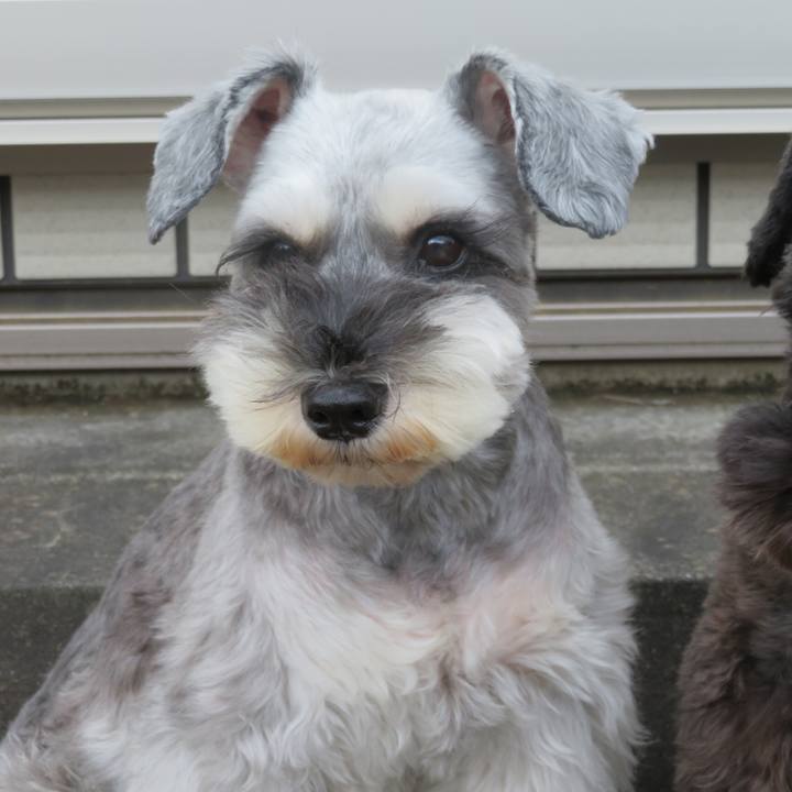 8c9c07bb 2b68 4049 838d e5a817061f91 1602396891342